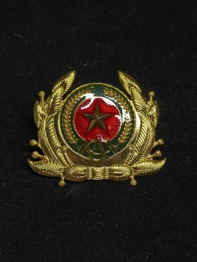 2026新年第一场  - 越南公安帽徽 铜镀金
