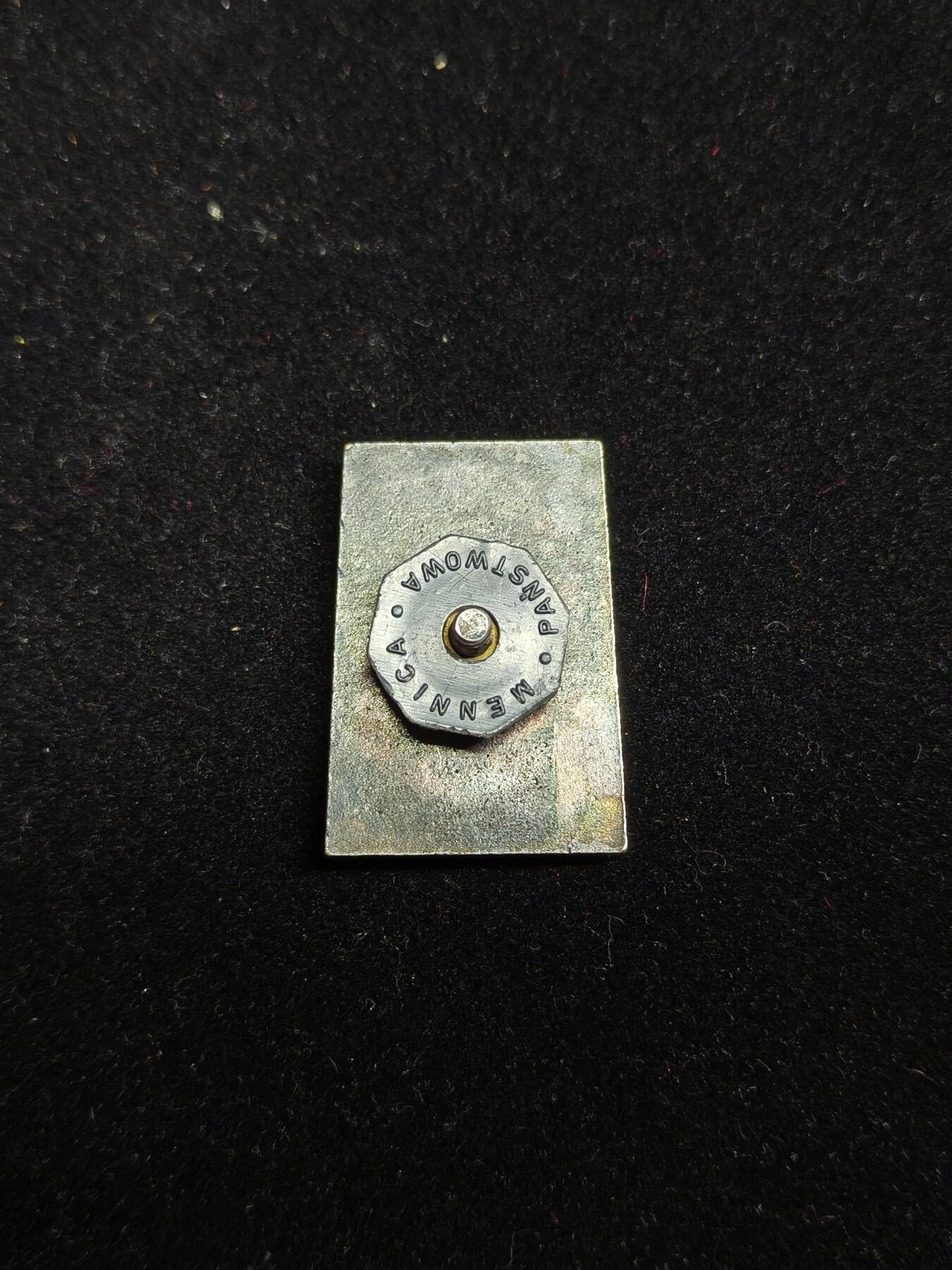 2026新年第一场  波兰模范士兵章