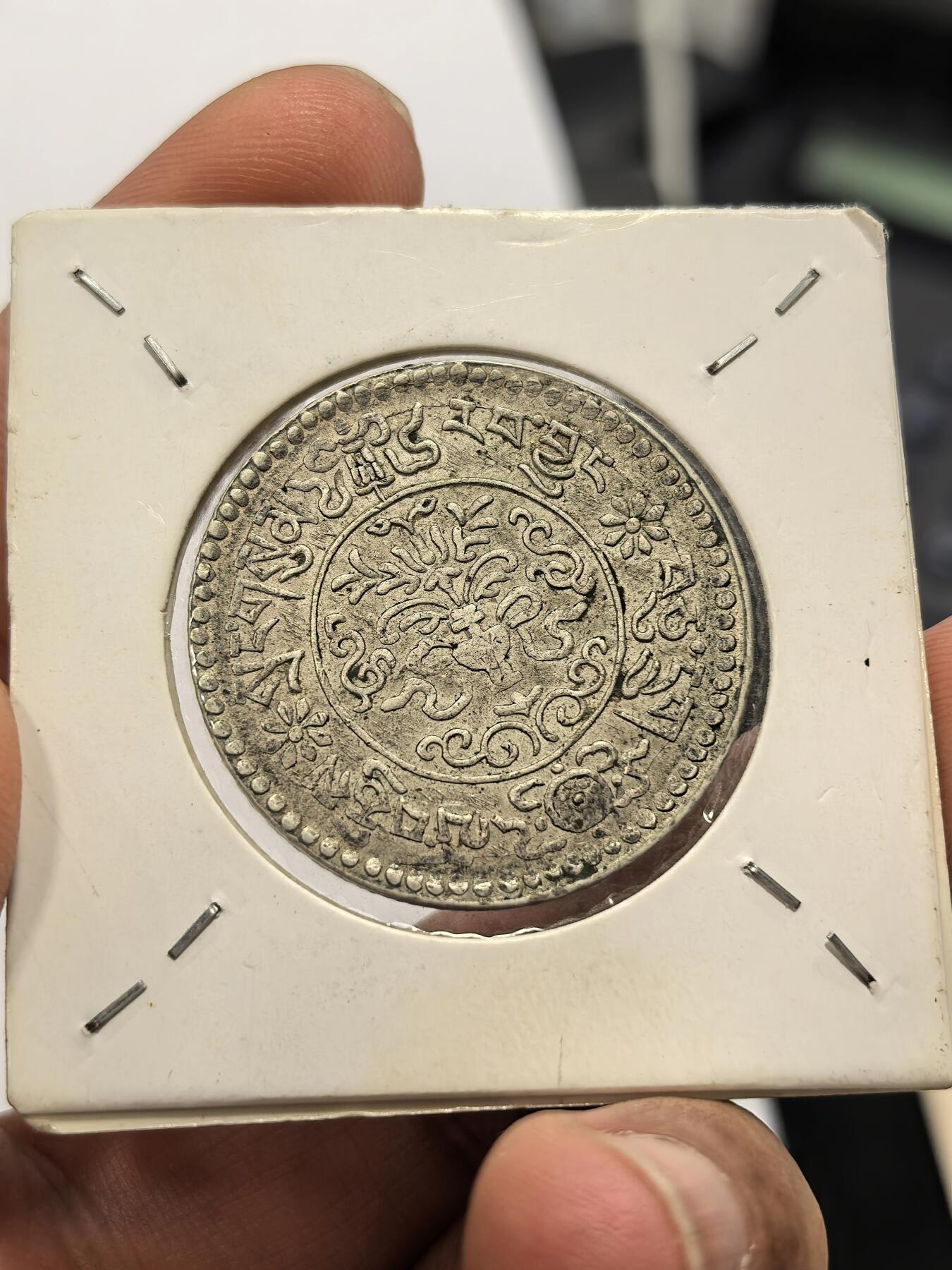 博洋堂蛇年收官专场暨第161期（全场包邮） 原味带底光西藏桑松果木银币