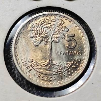 KK钱币收藏小铺  第394期  2月预留时间 周末发货 -  1971危地马拉5分 好品