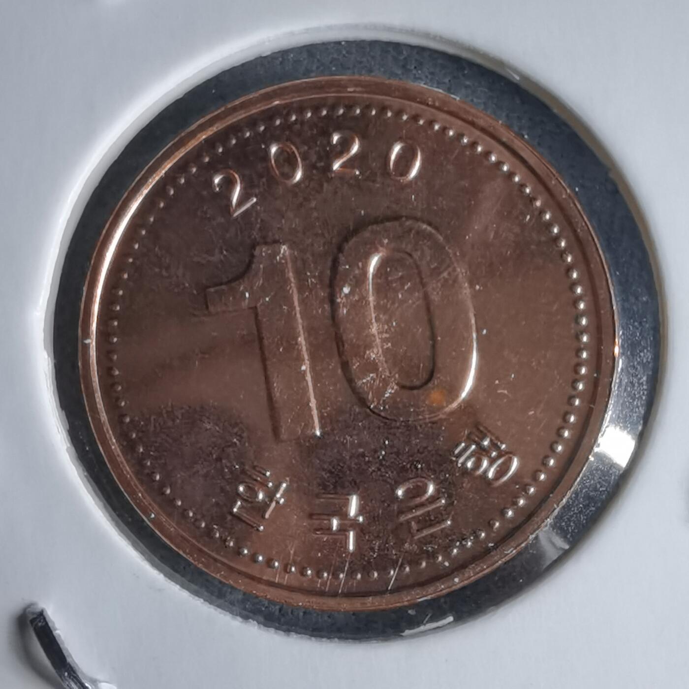 沼泽如烟--第987场 2020年十元