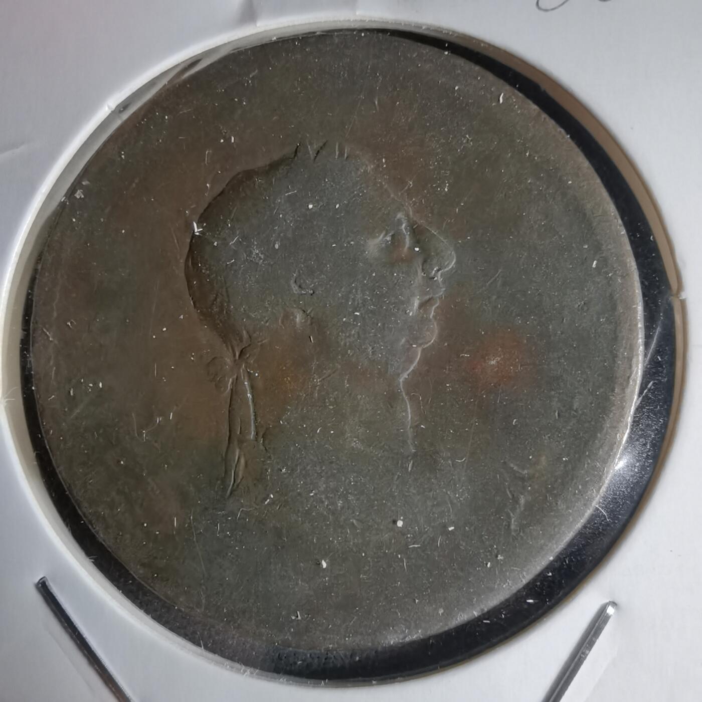 沼泽如烟--第988场