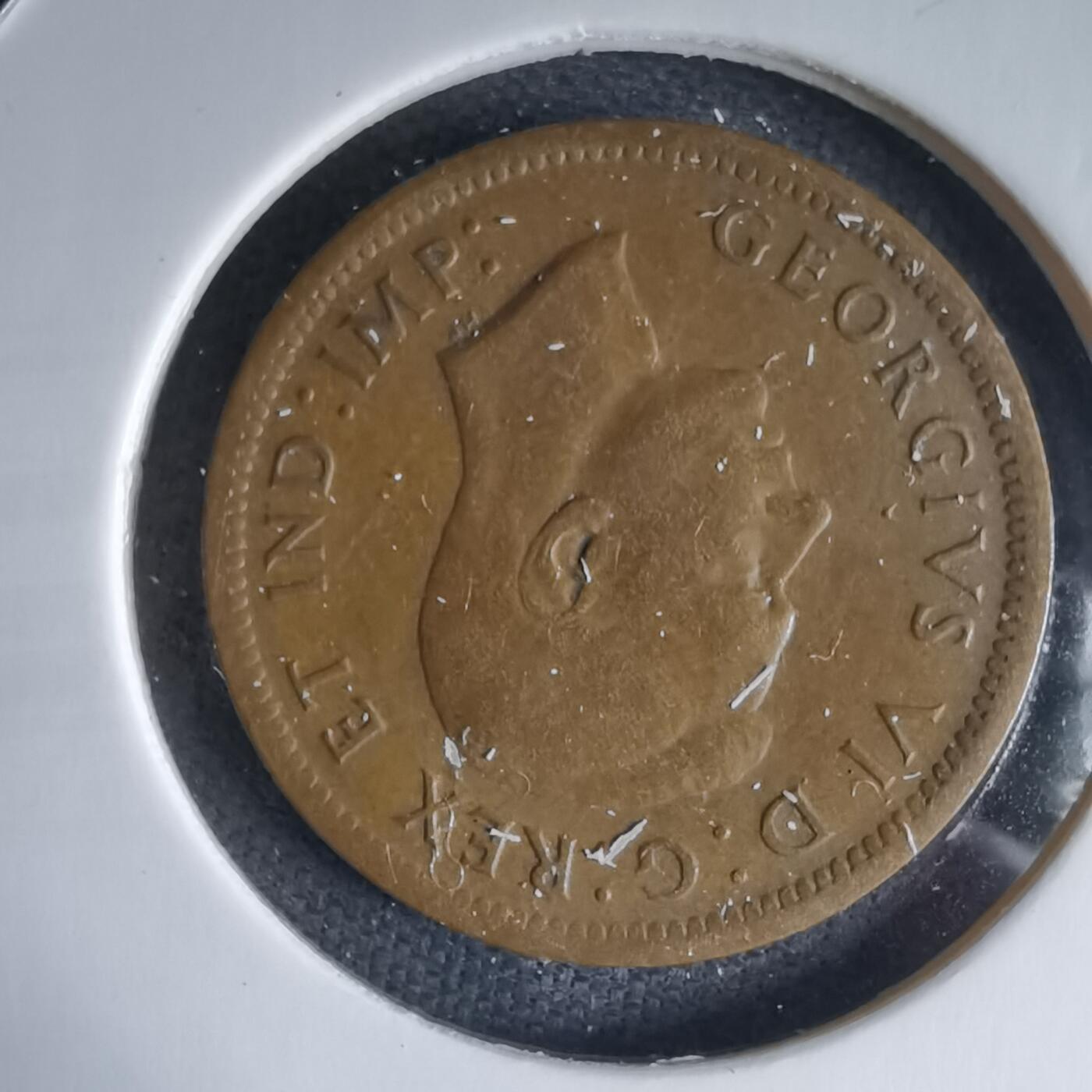 沼泽如烟--第988场