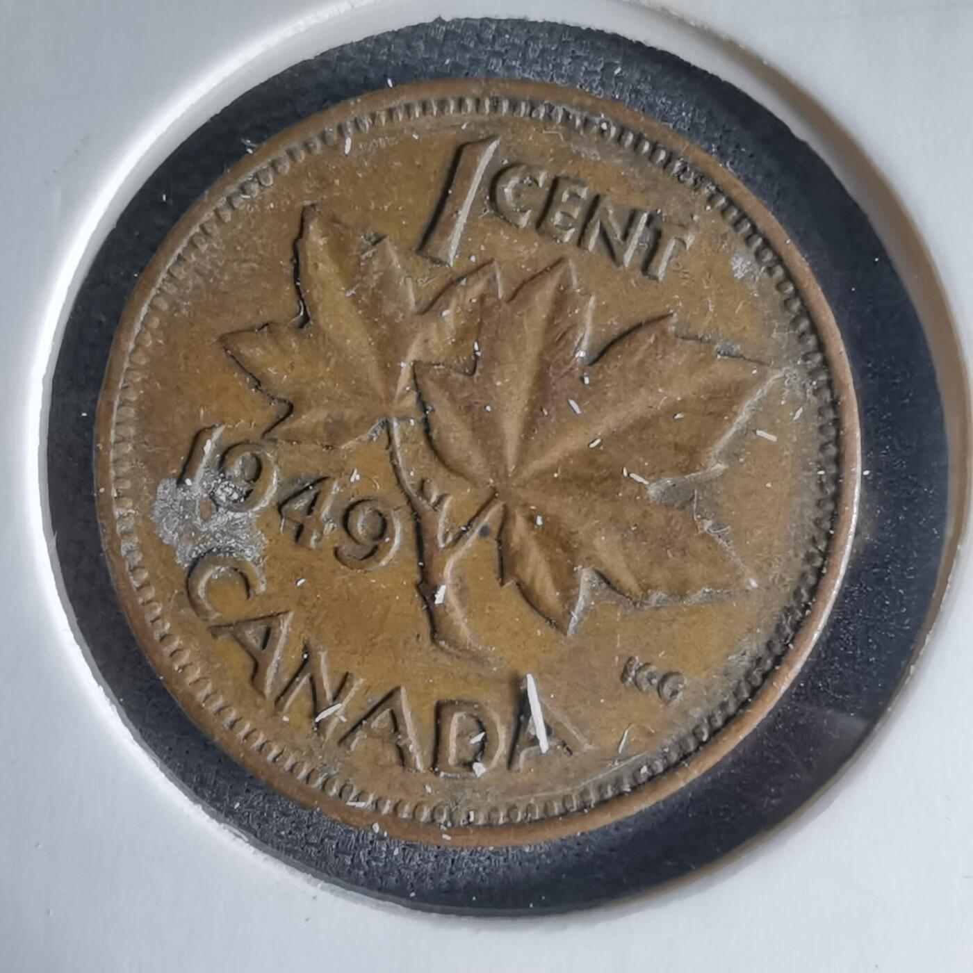 沼泽如烟--第988场