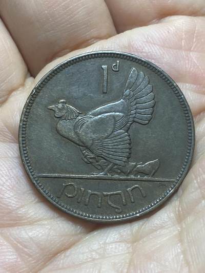 2026年第二十场(总第一百八十九场）外国好品散币场(免佣金) - 爱尔兰1928年1便士(英辖自由邦时期，首发年)