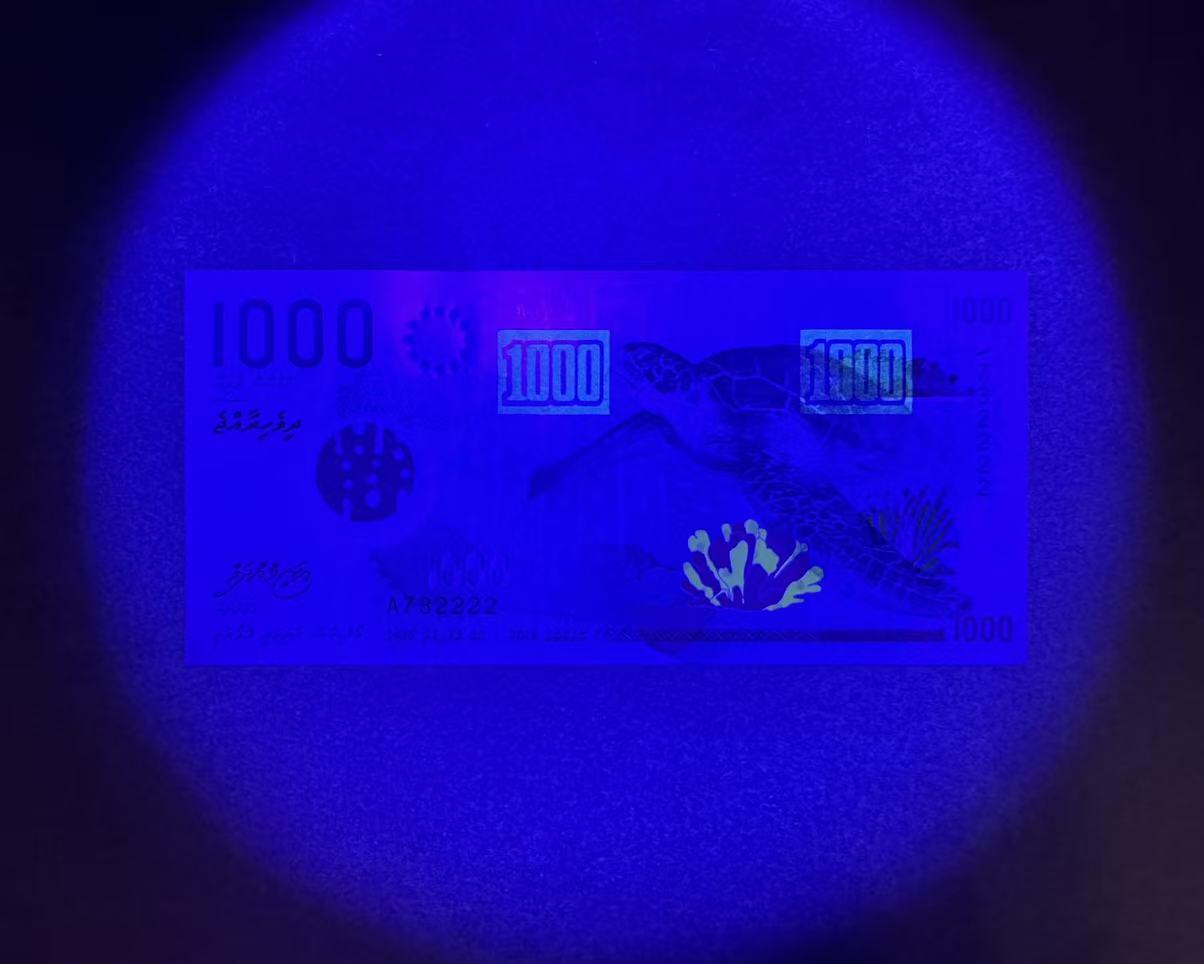 【Blue Auction】世界纸币精拍第784期——18级TOP拍卖/信誉/品质/专业/高效💫 【狮子2】马尔代夫 2015年1000拉菲亚 全新UNC