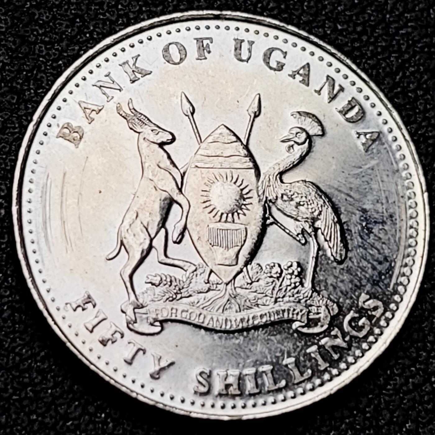 泉币菌-第182场- 精品福利场 。