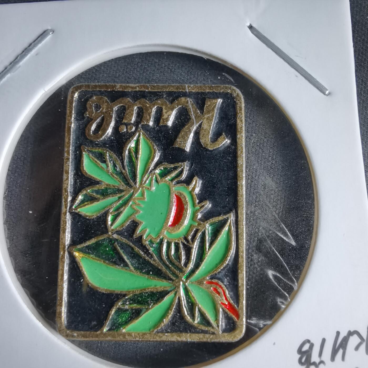 沼泽如烟--第989场 胸章一枚