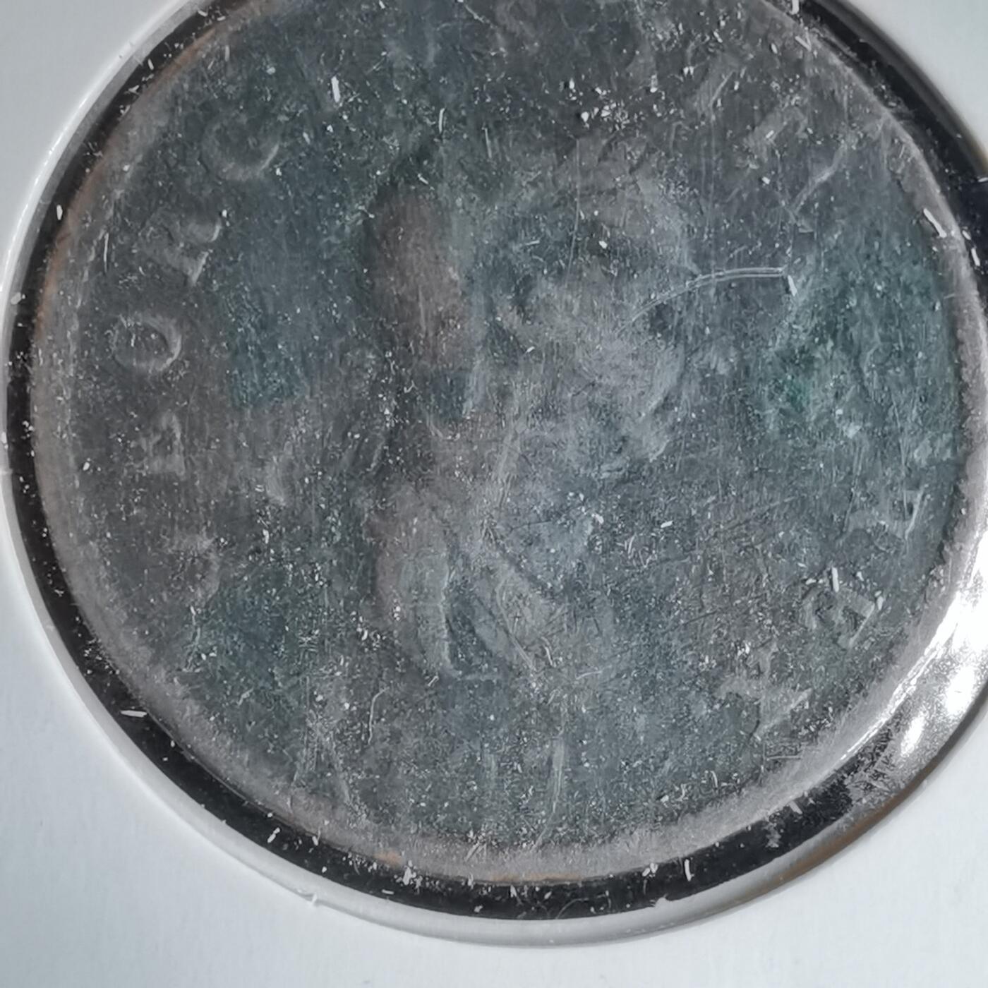 沼泽如烟--第988场