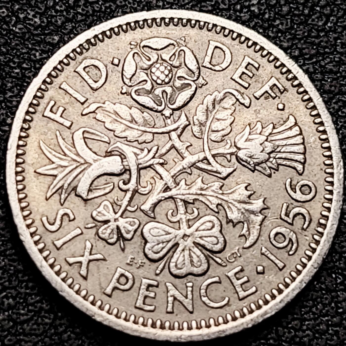 泉币菌-第182场- 精品福利场 。