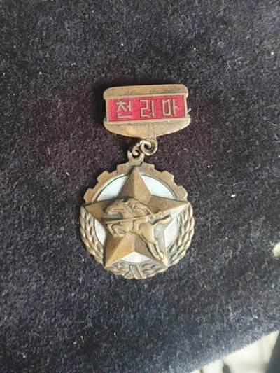 50年代千里马奖章 - 50年代千里马奖章