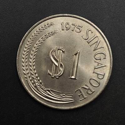  【淘币小摊】限时拍第八百六十六拍   散币场    年前最后一周之前预留8号9号全部发出请更换最新收货地址不方便收货的请勿参拍或者顺丰到付 - 新加坡1975年狮子大一元