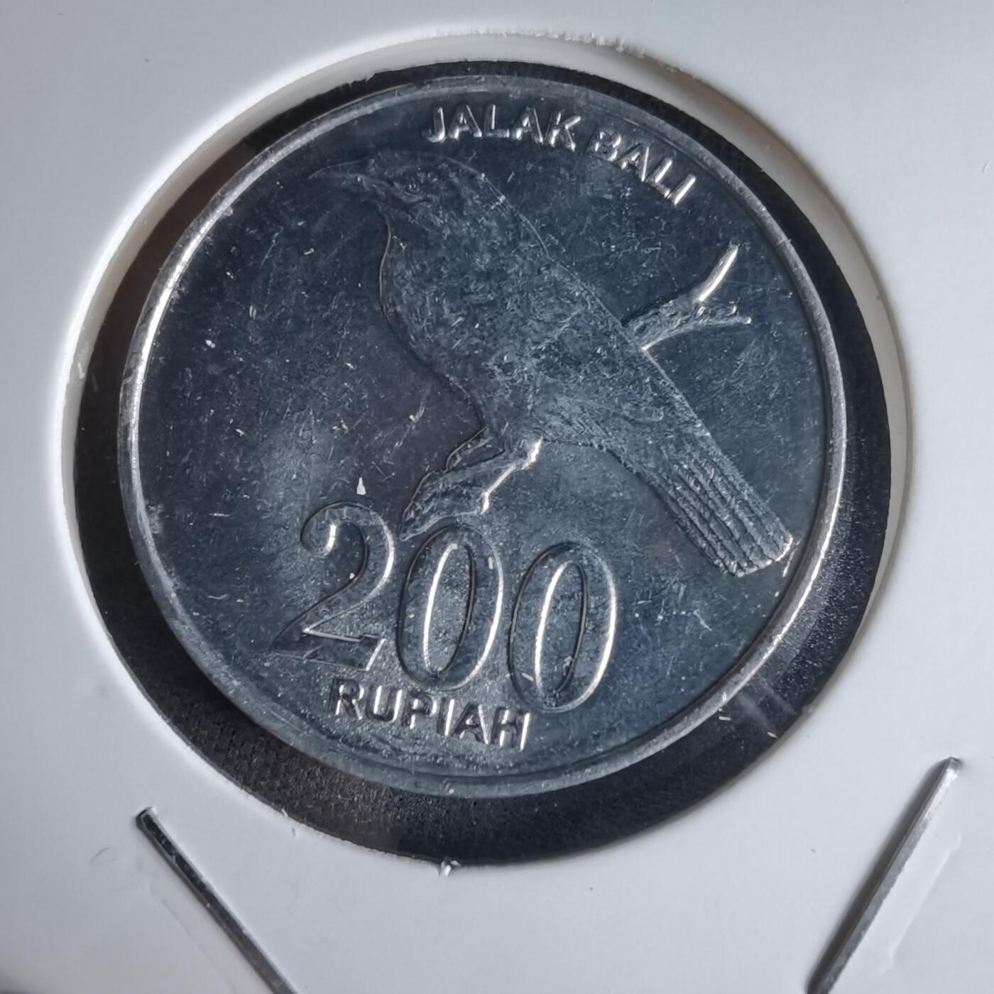 沼泽如烟--第988场