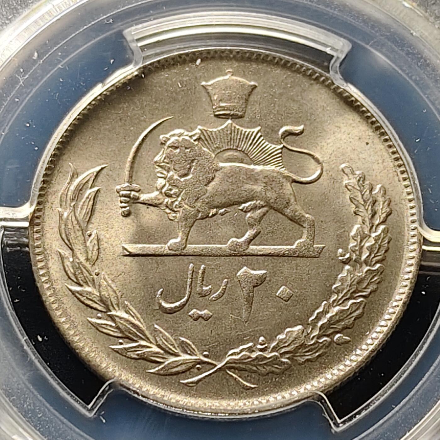 【全场包邮】纯粹捡漏拍501场-持续更新中