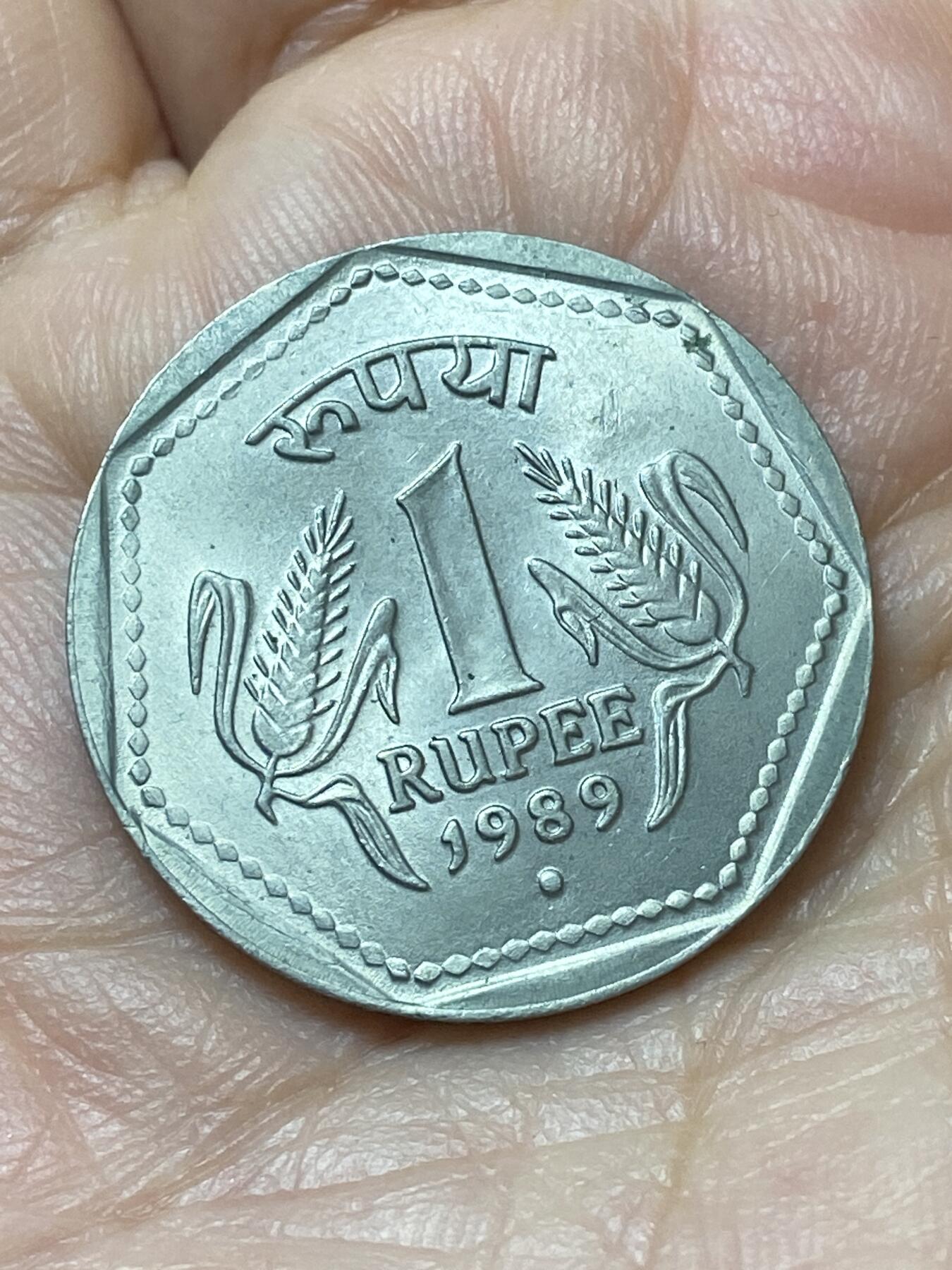 2026年第二十场(总第一百八十九场）外国好品散币场(免佣金) 好品–印度🇮🇳1989年1卢比(1964–2005年第五版，诺伊达造)