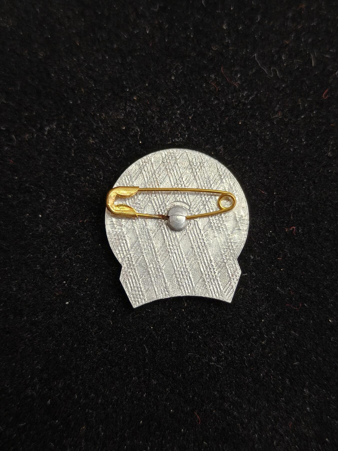 2026新年第一场  越南胡志明少年先锋队证章