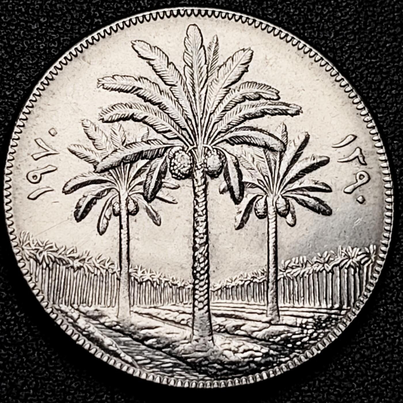 泉币菌-第182场- 精品福利场 。