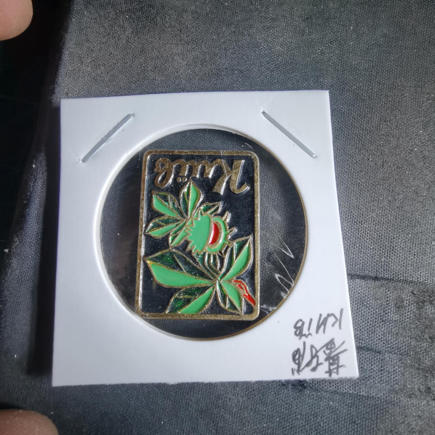 沼泽如烟--第989场 胸章一枚