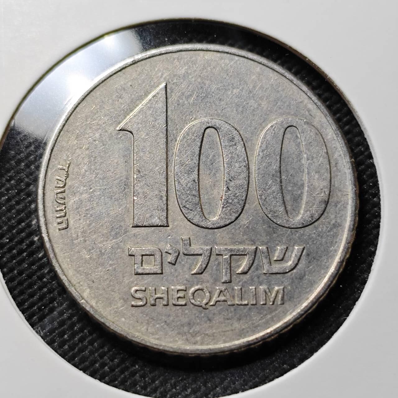 KK钱币收藏小铺  第394期  2月预留时间 周末发货