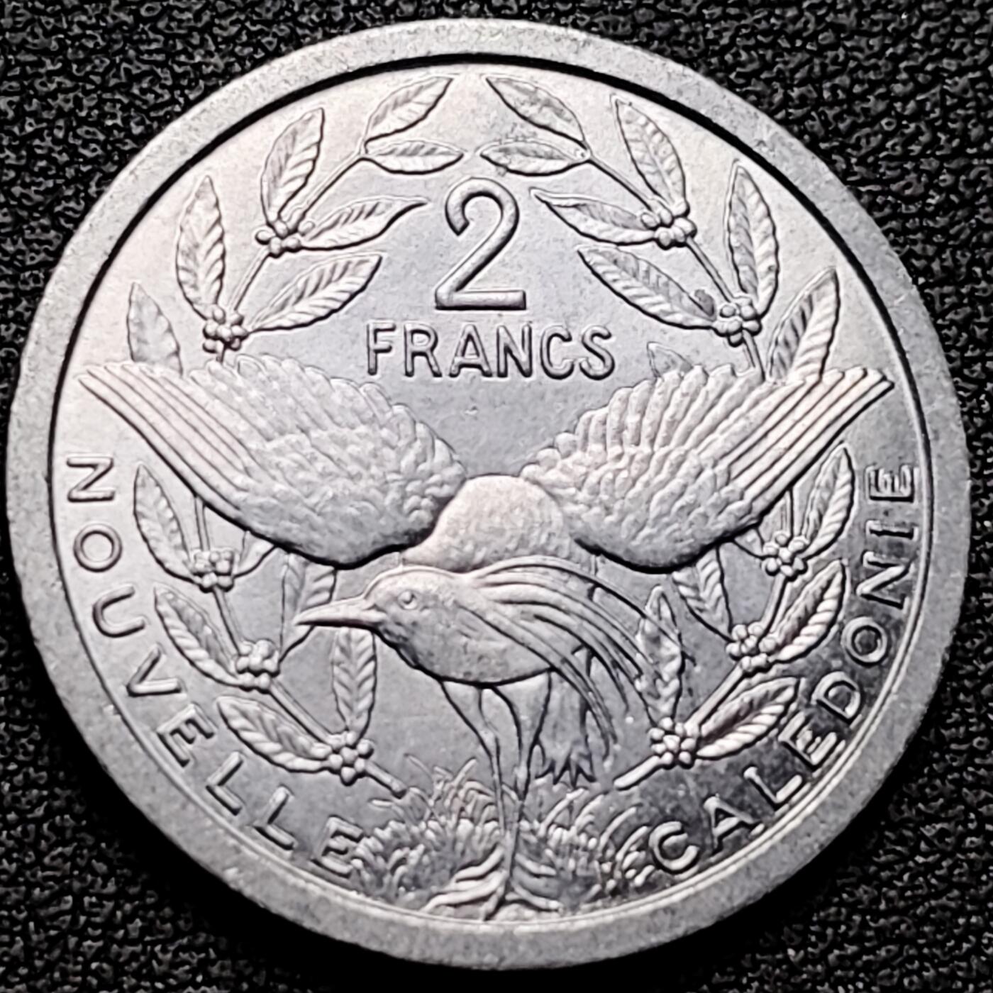 泉币菌-第182场- 精品福利场 。