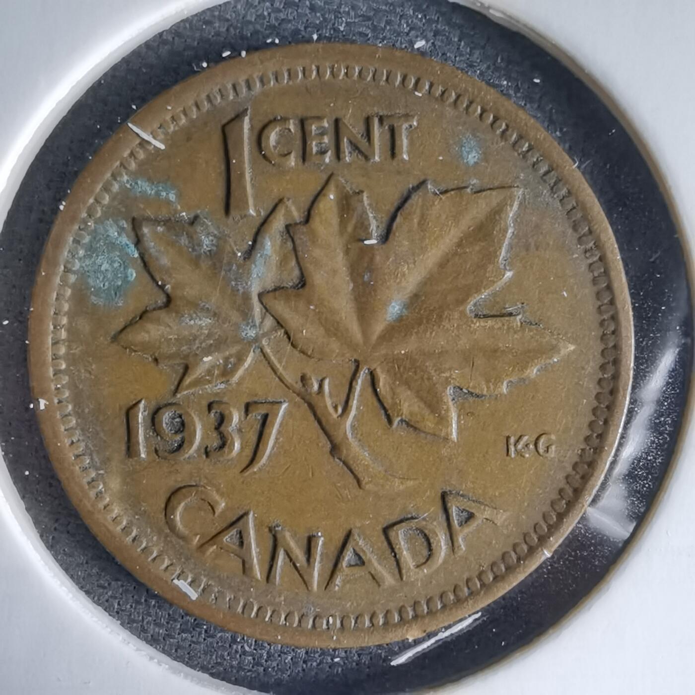 沼泽如烟--第988场