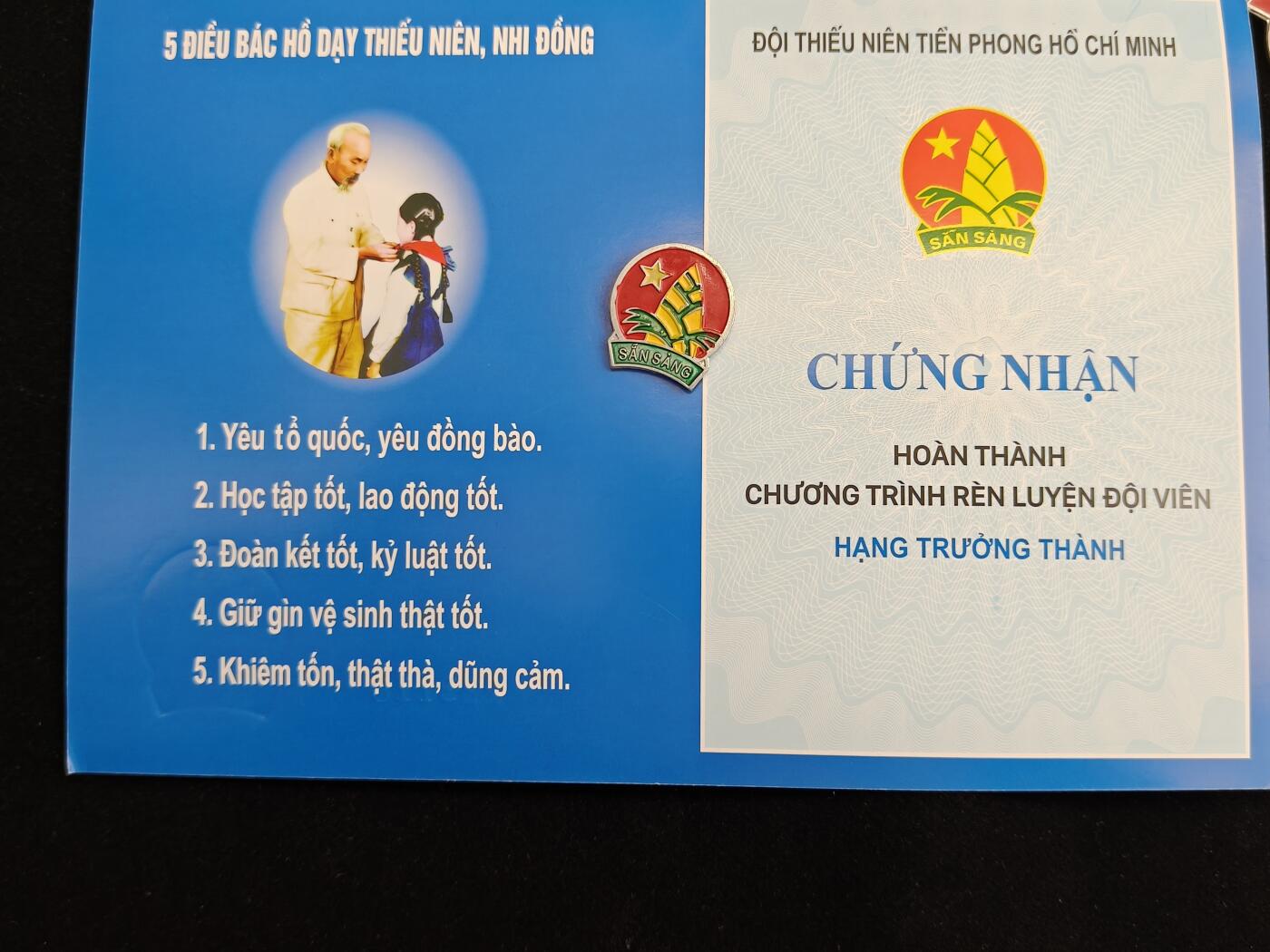 2026新年第一场  越南胡志明少年先锋队证章 带证