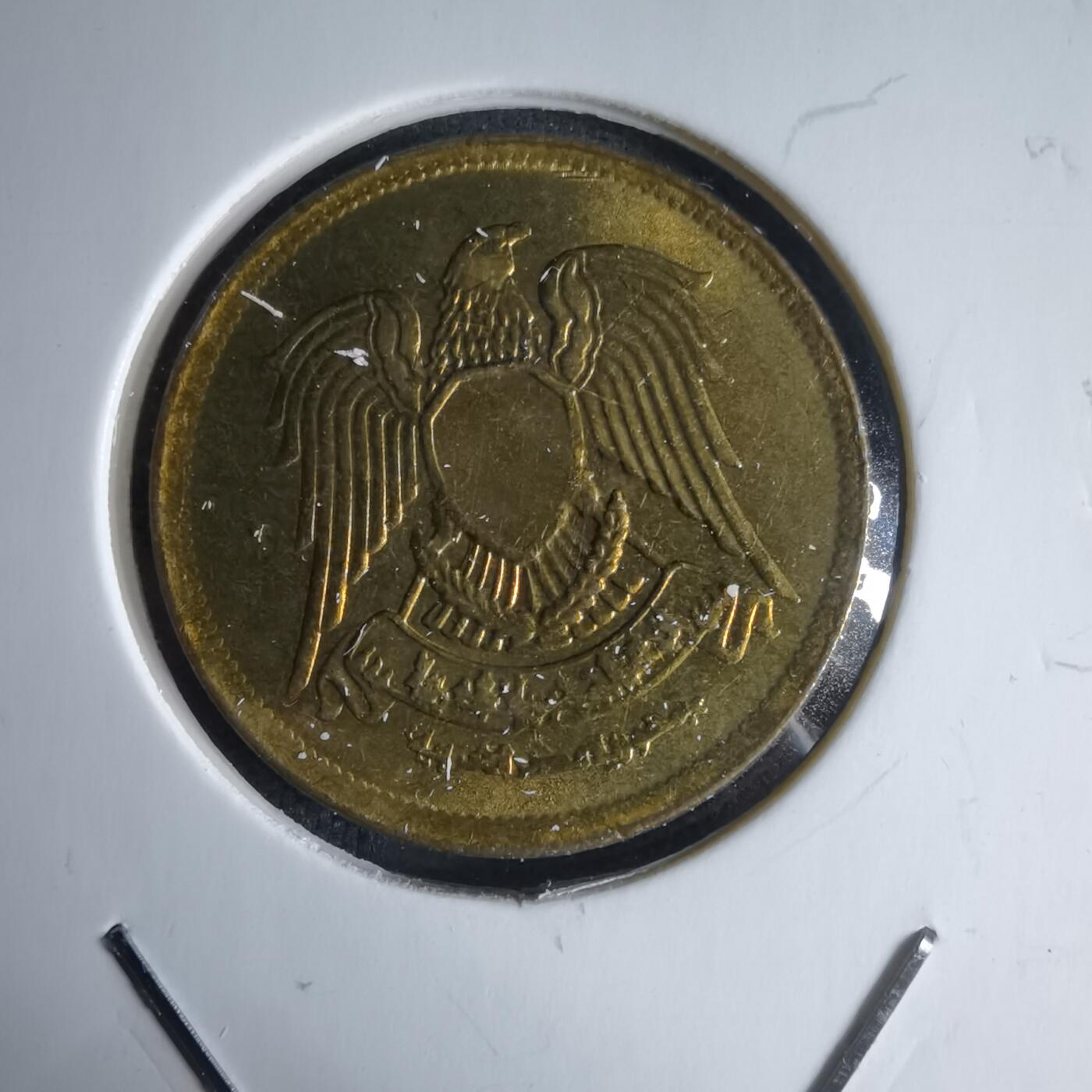 沼泽如烟--第988场 埃及