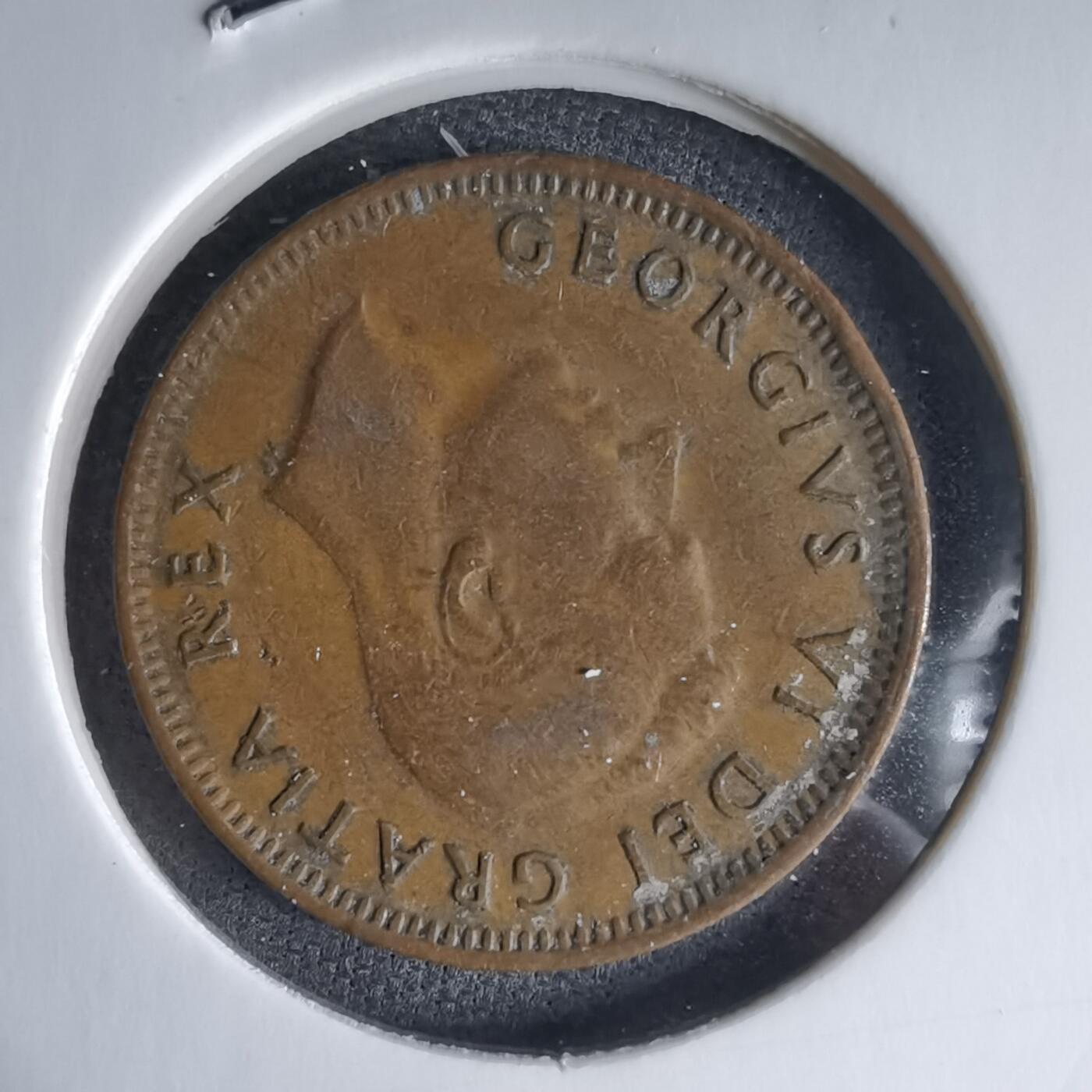 沼泽如烟--第988场