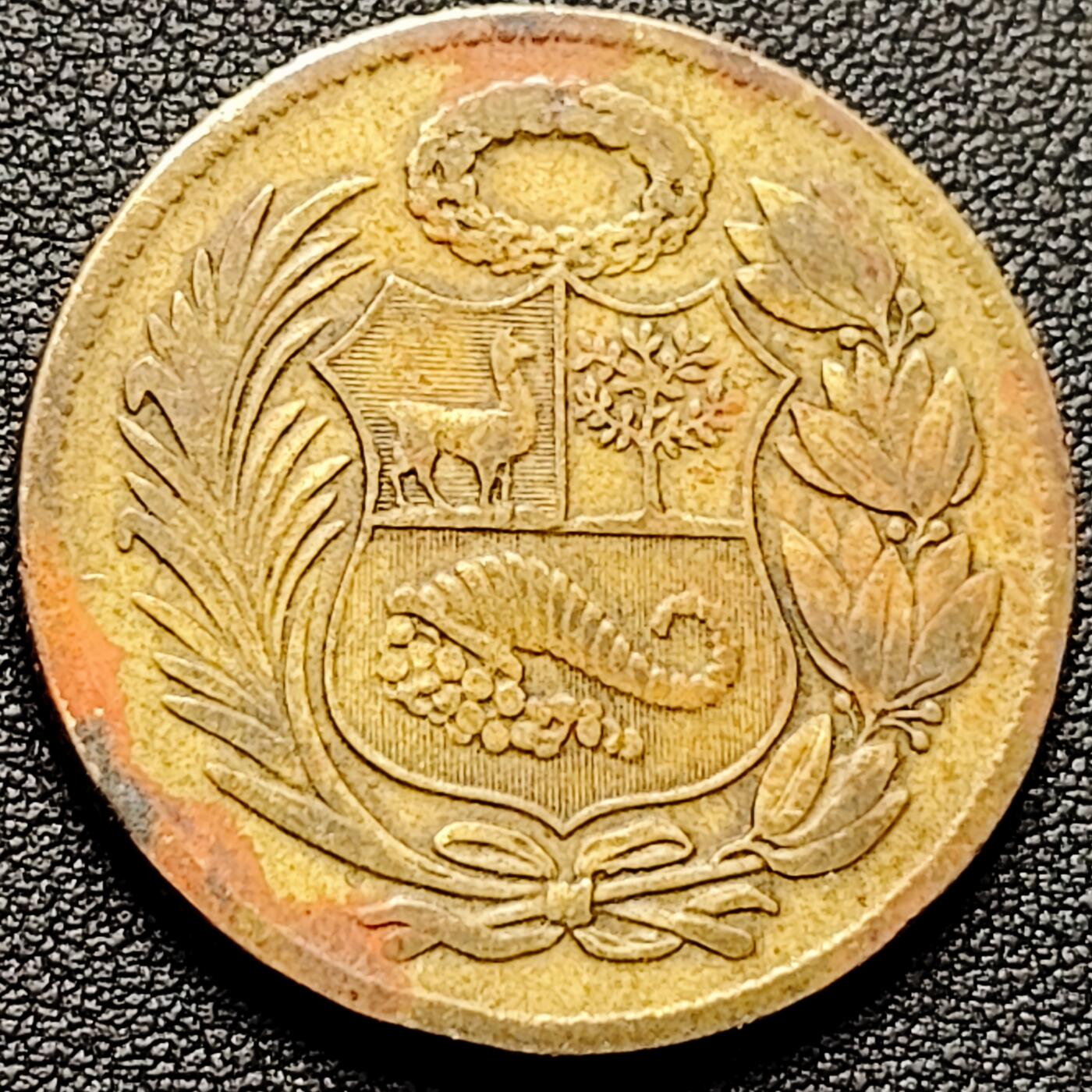 泉币菌-第182场- 精品福利场 。