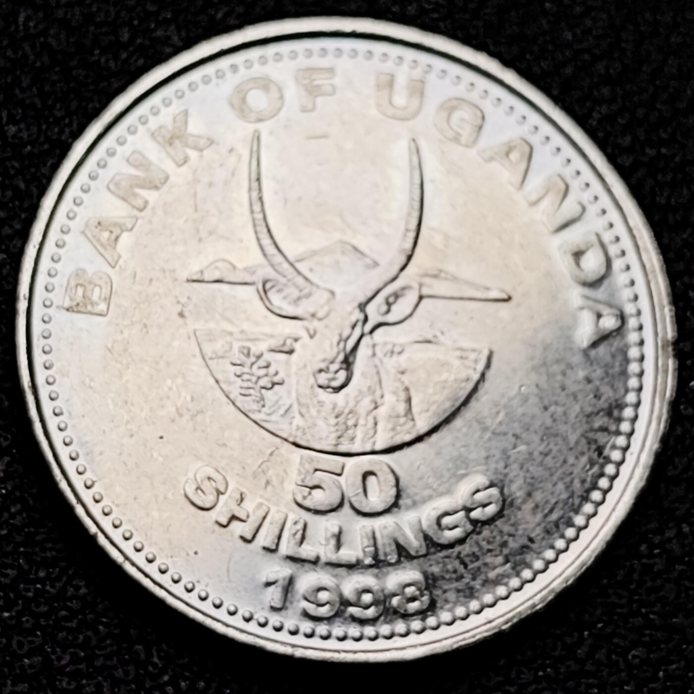 泉币菌-第182场- 精品福利场 。