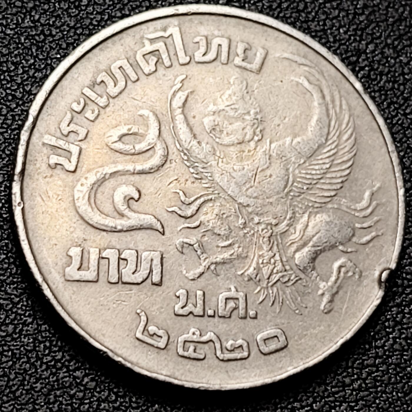 泉币菌-第182场- 精品福利场 。