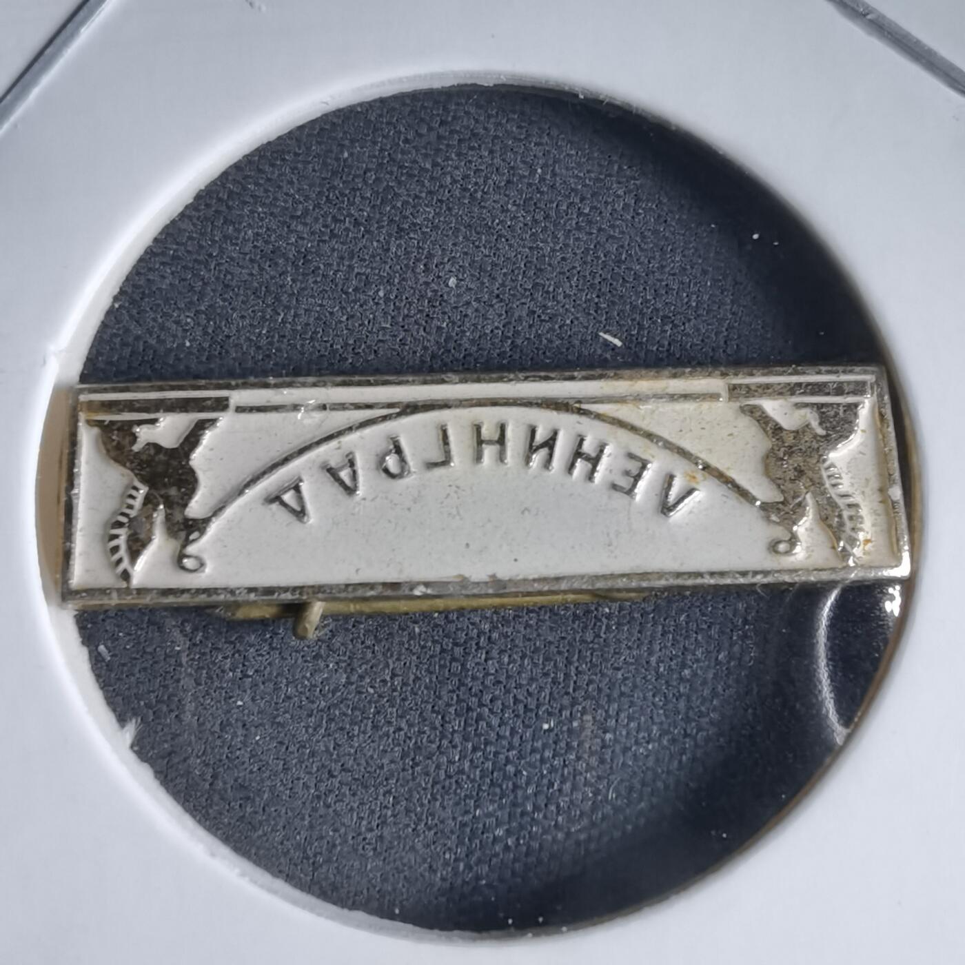 沼泽如烟--第989场 胸章一枚