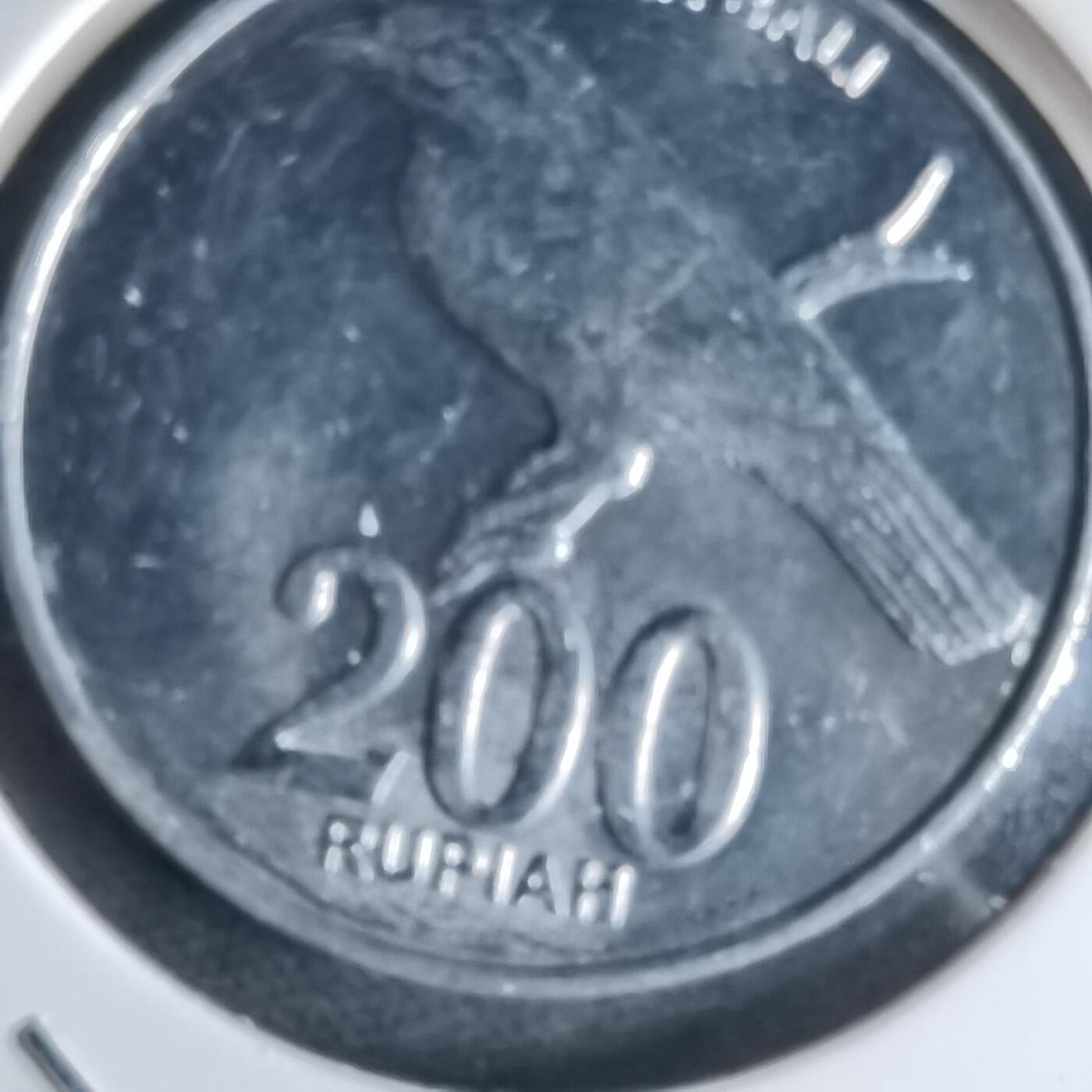 沼泽如烟--第988场