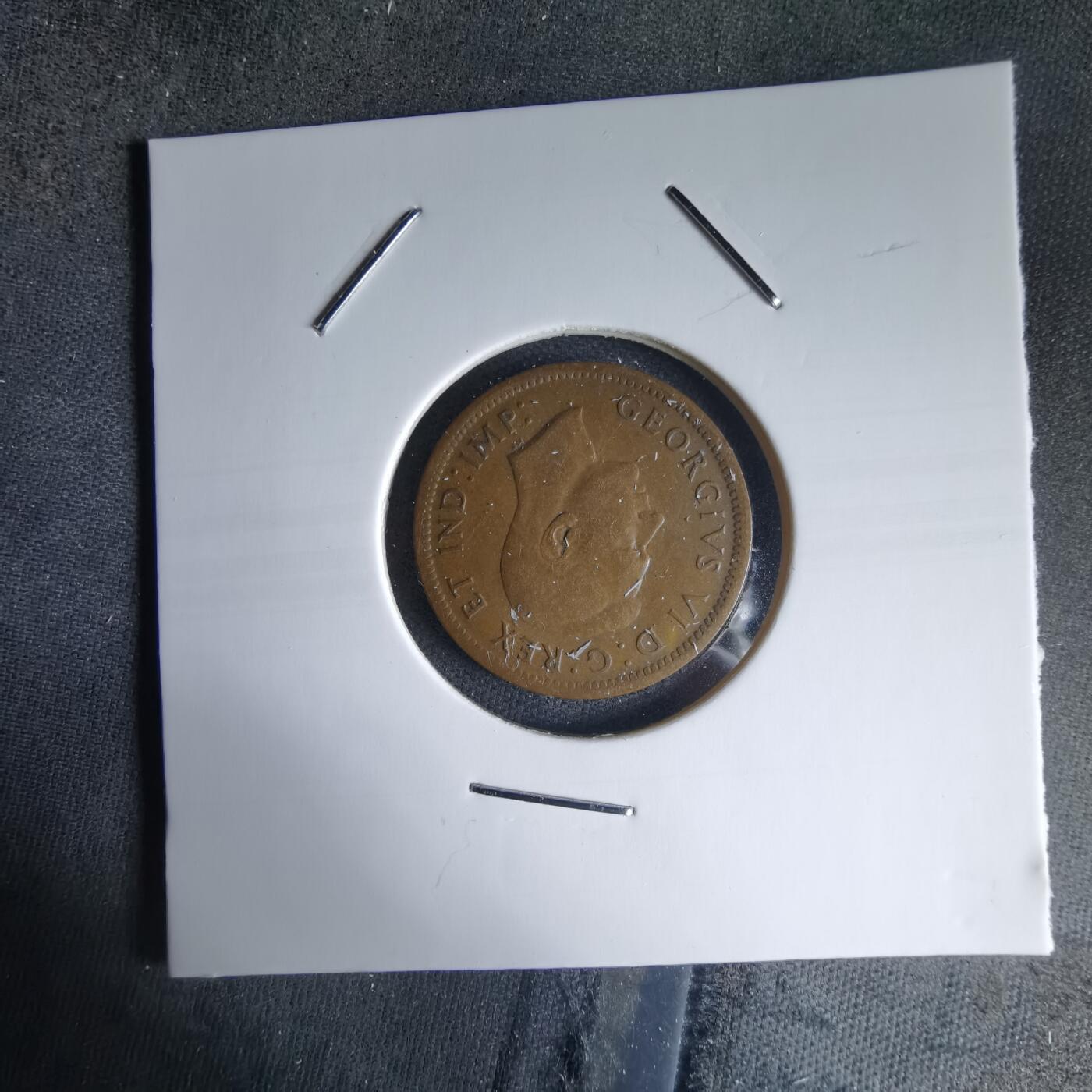 沼泽如烟--第988场