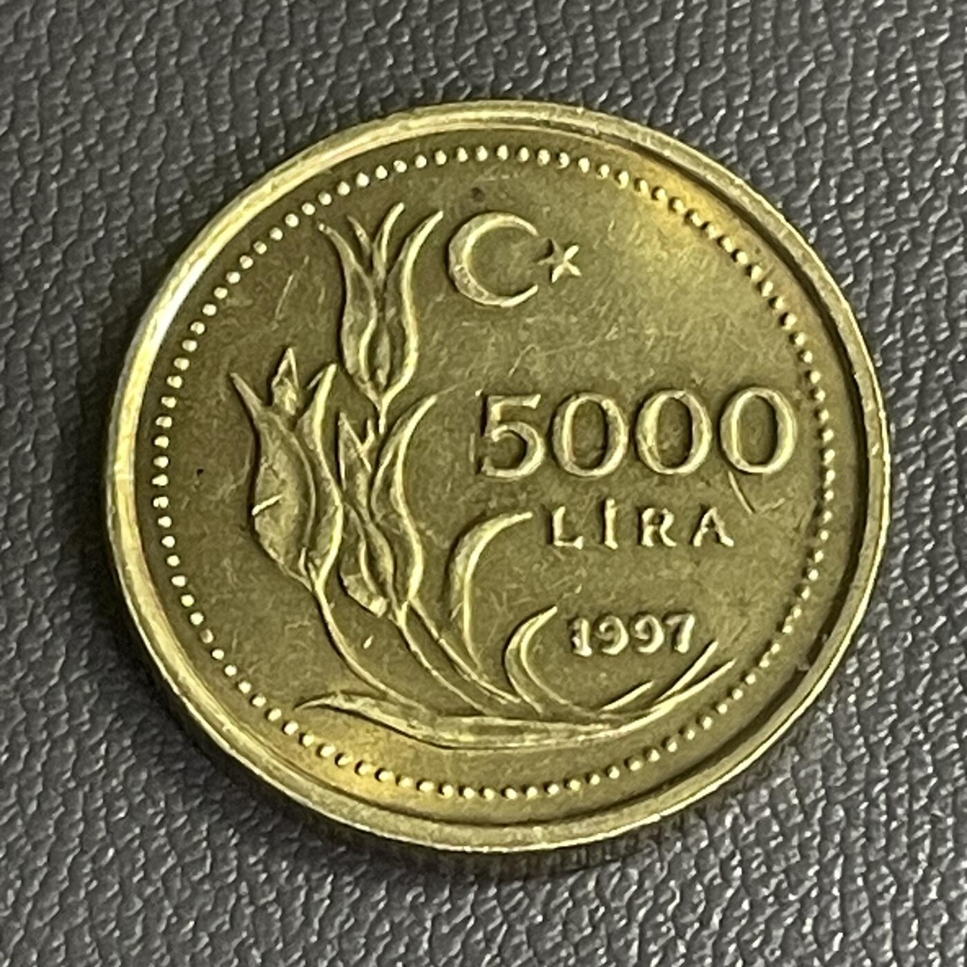 回流0207 土耳其1997年5000旧里拉 郁金香