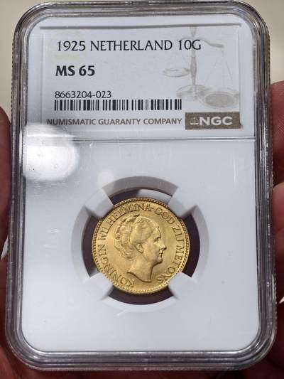 NGC-MS65荷兰1925年威廉明娜女王10盾金币 - NGC-MS65荷兰1925年威廉明娜女王10盾金币