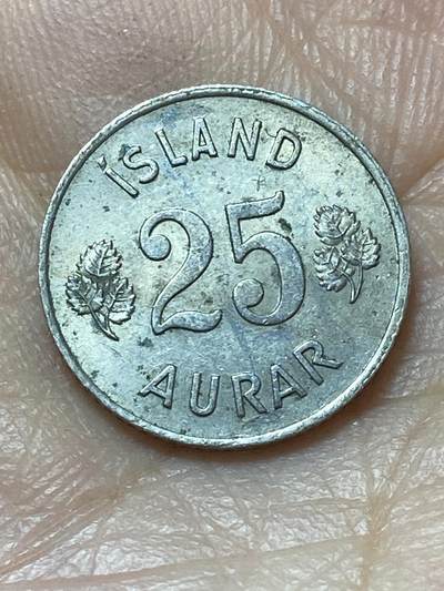 2026年第二十场(总第一百八十九场）外国好品散币场(免佣金) - 冰岛🇮🇸1960年25奥拉(共和国时期第一套)