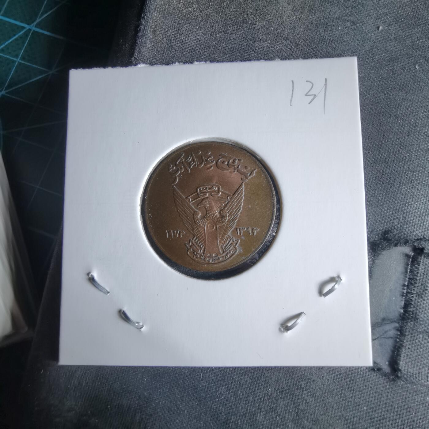 沼泽如烟--第989场 苏丹