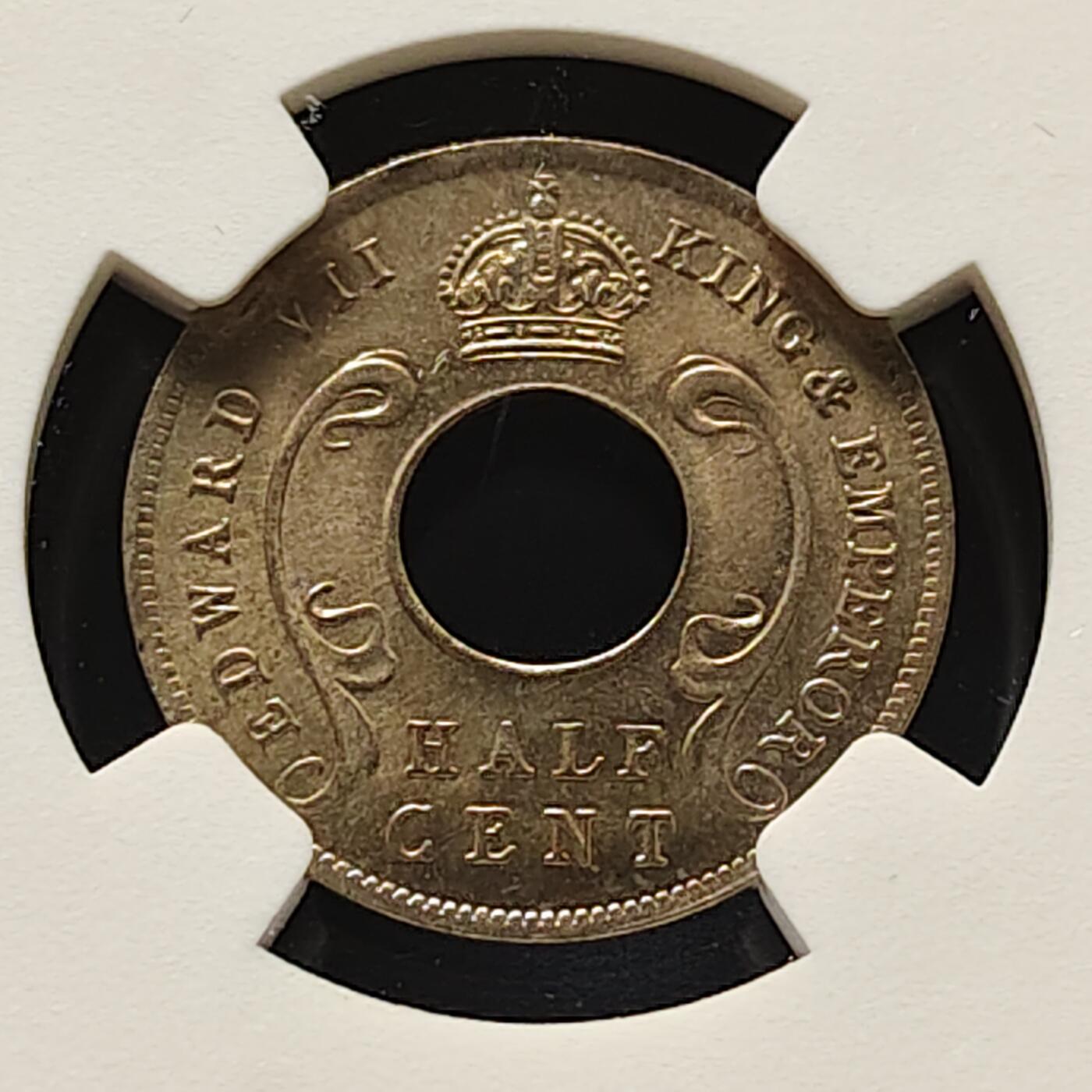 【全场包邮】纯粹捡漏拍501场-持续更新中