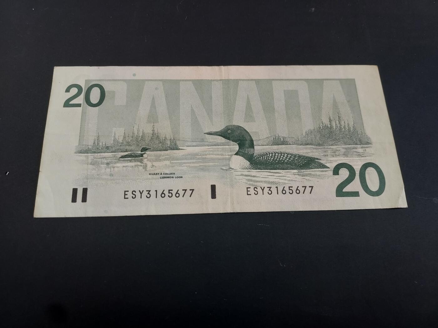 博彦收藏   2月9日 8点钱币专场 全场包邮 加拿大女皇20元 流通好品