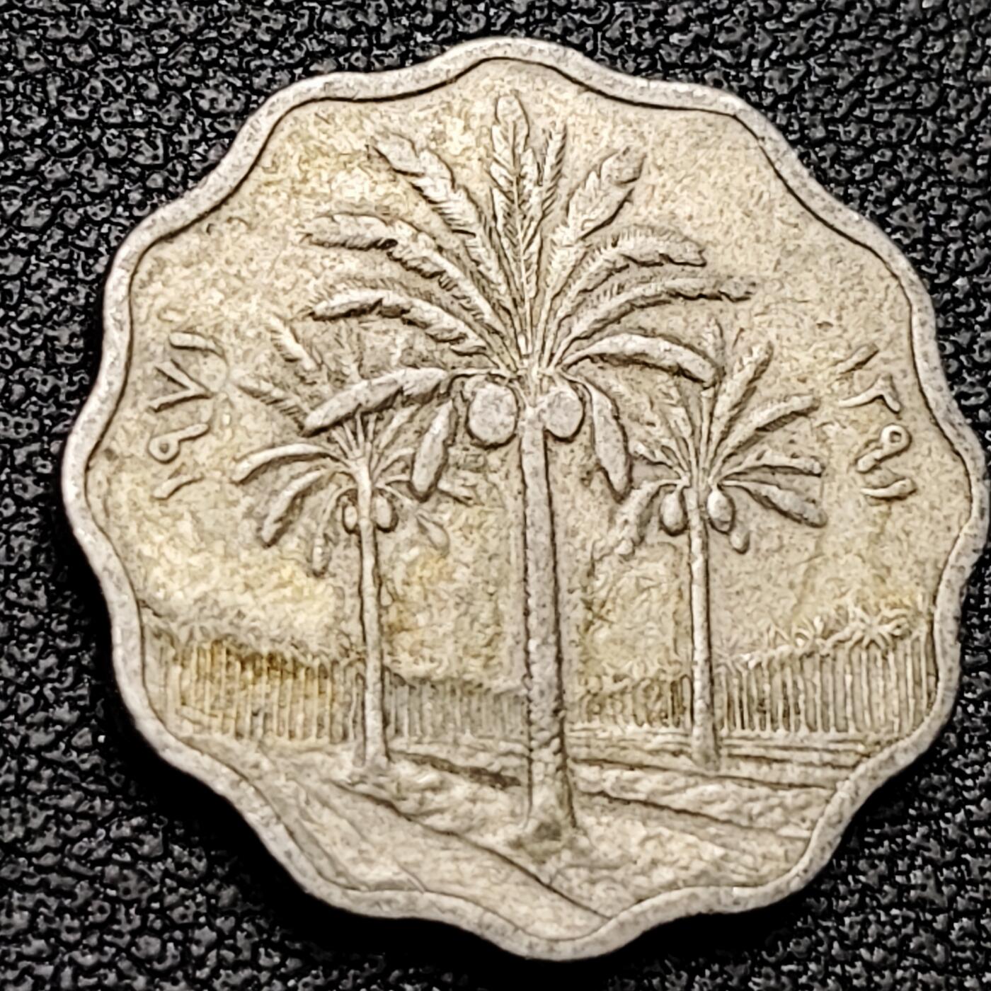 泉币菌-第182场- 精品福利场 。