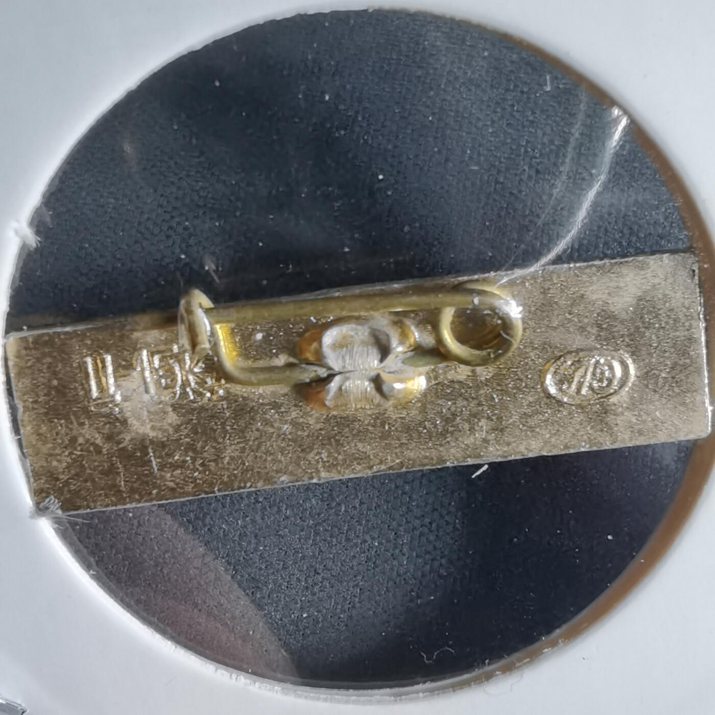 沼泽如烟--第989场 胸章一枚