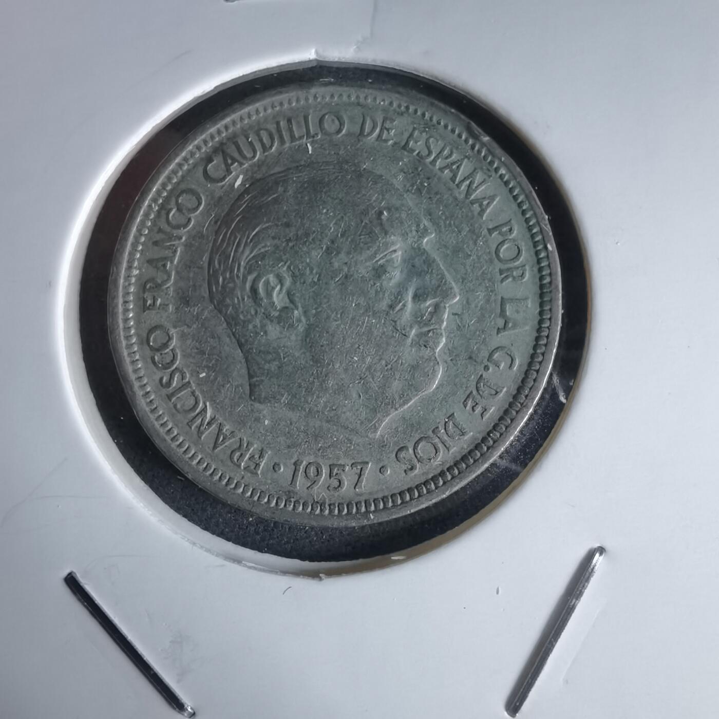 沼泽如烟--第988场