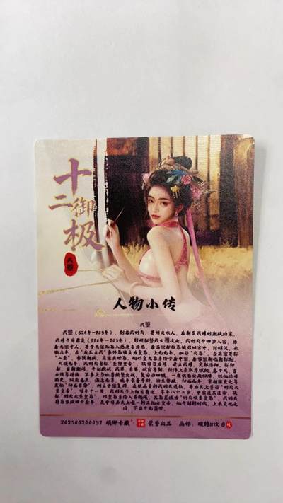 阳大大卡牌拍卖第103期（持续收拍品，周五晚上九点截拍，进群福利早知道） 【最终清凉版】琅琊卡藏 十二御极 碳的N次方 武曌 最终清凉版