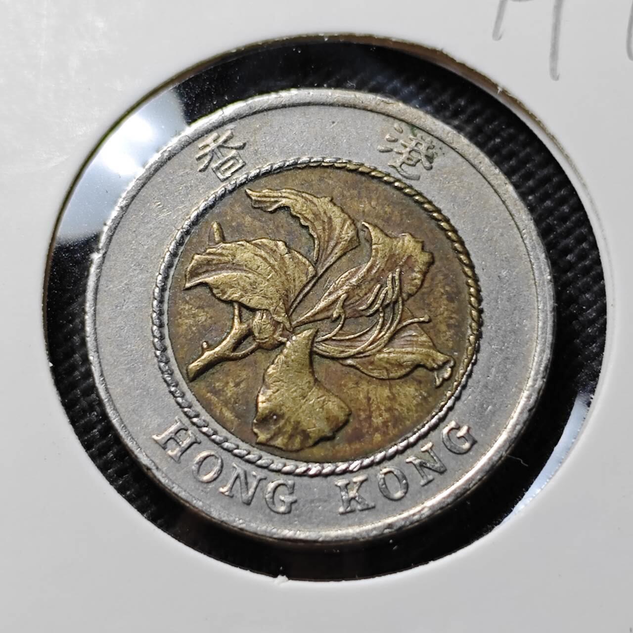 KK钱币收藏小铺  第394期  2月预留时间 周末发货