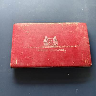 【全场包邮】纯粹捡漏拍501场-持续更新中 - 新加坡