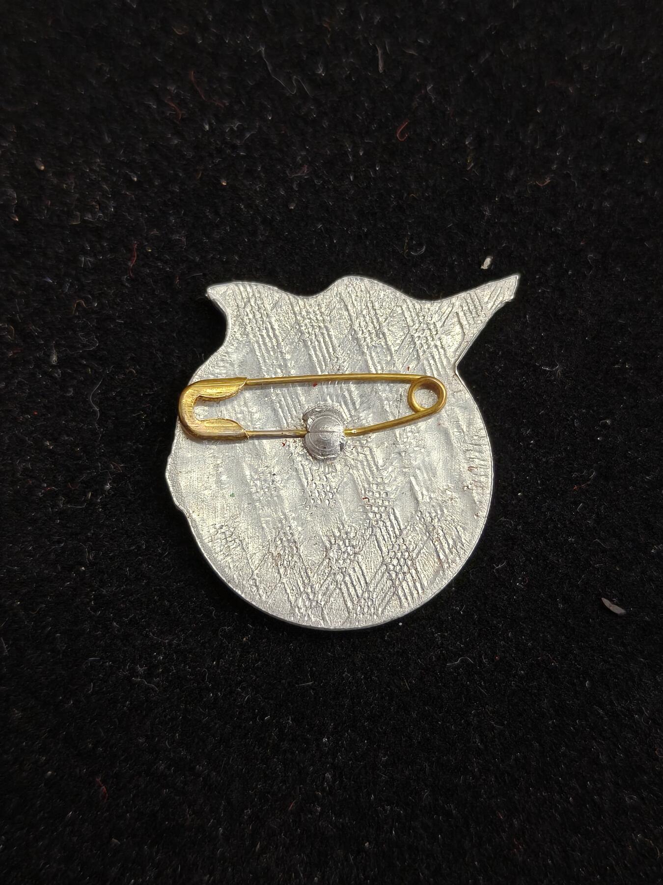 2026新年第一场  越南共青团证章