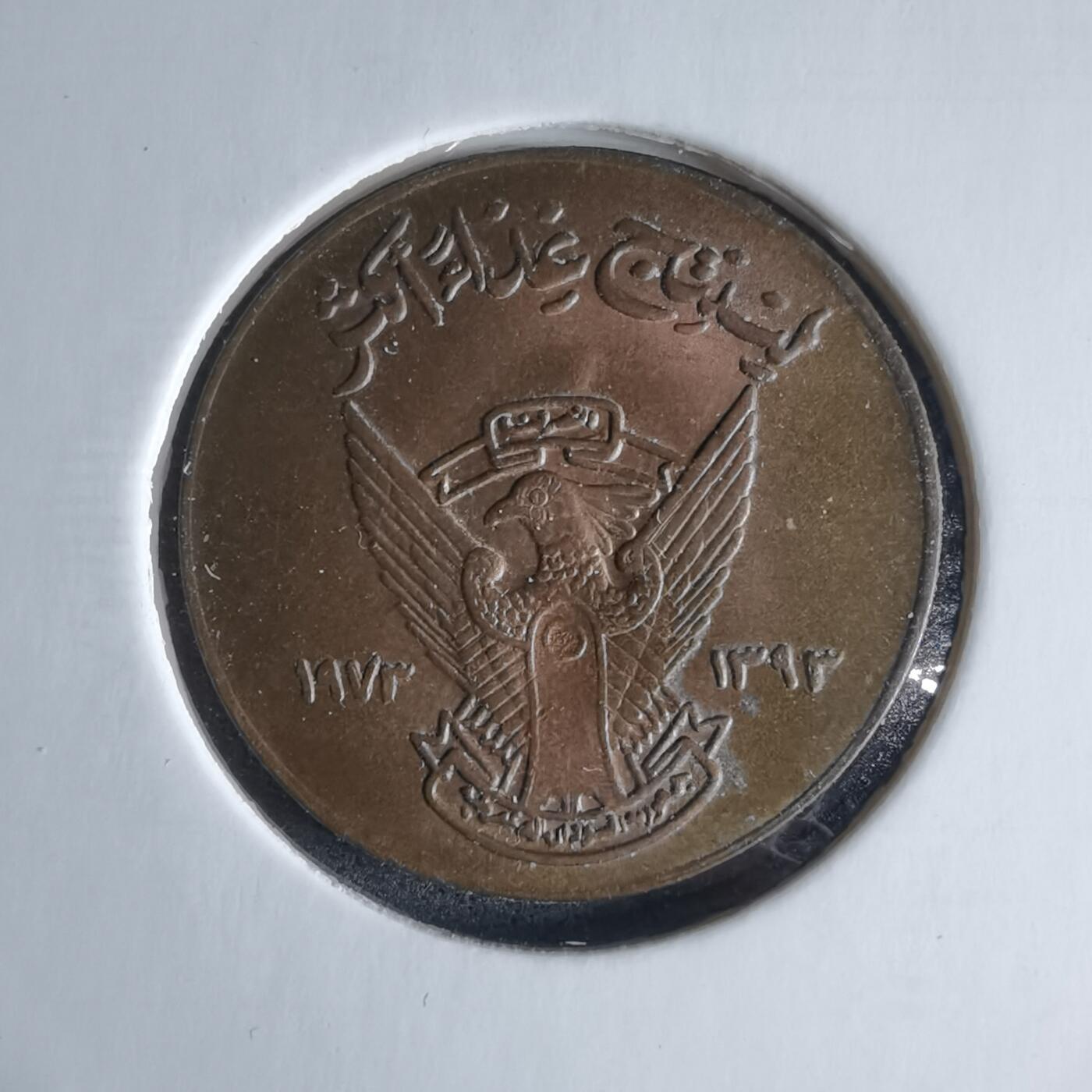 沼泽如烟--第989场 苏丹