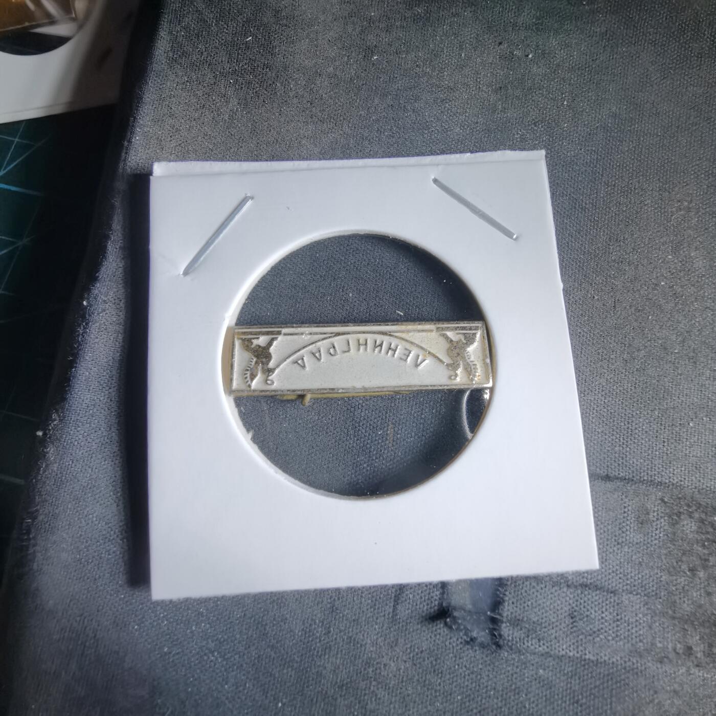 沼泽如烟--第989场 胸章一枚