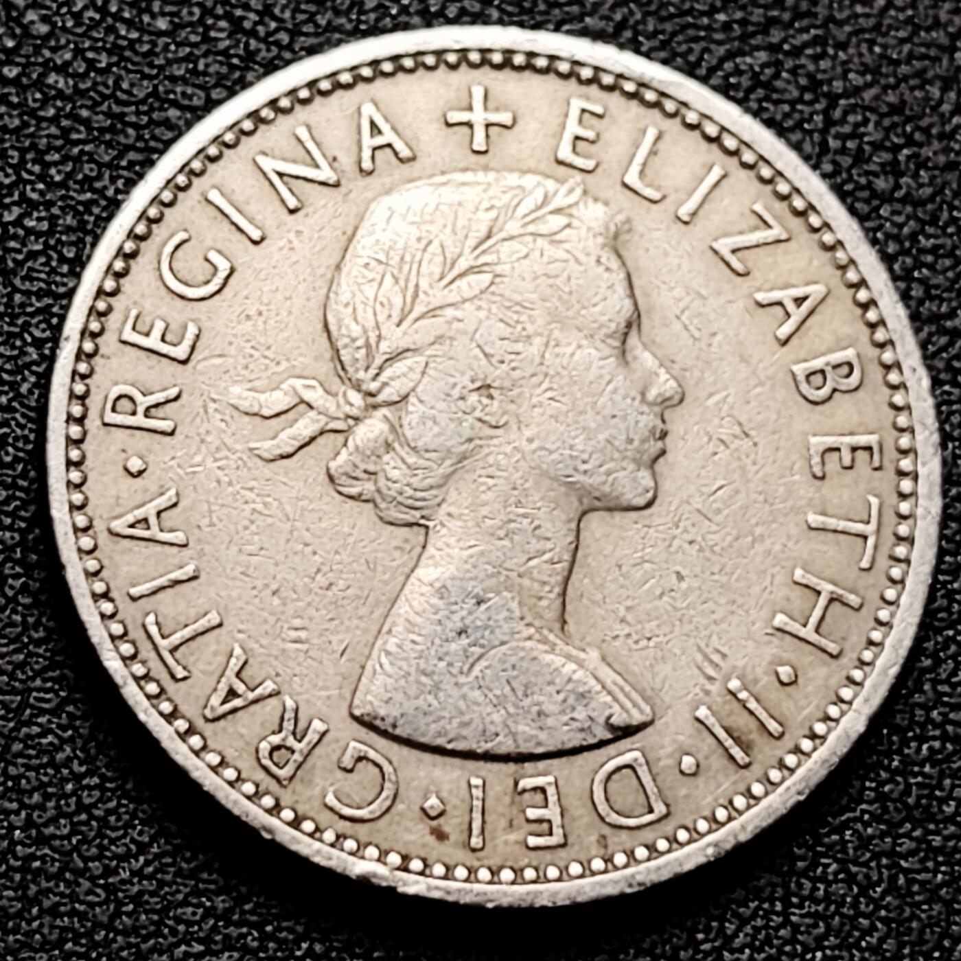 泉币菌-第182场- 精品福利场 @